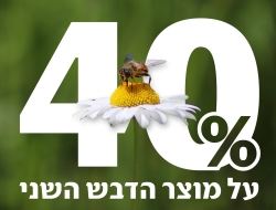 יום הדבש הבינלאומי
